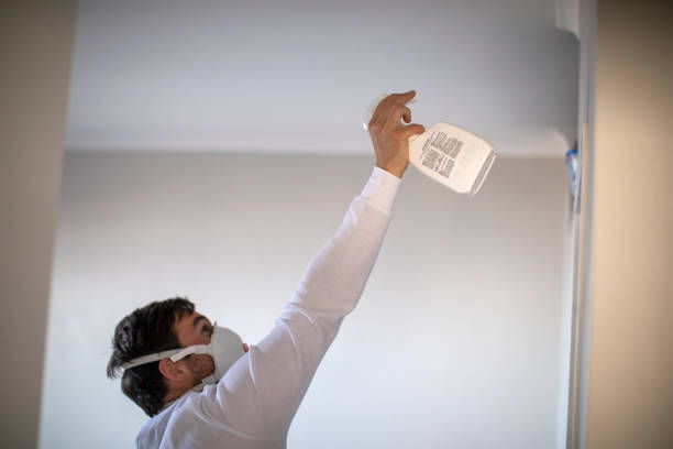 Best Mold Remediation for Schools in Abernathy, TX